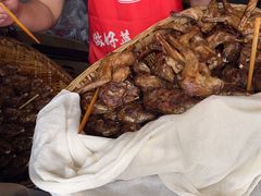 -邓氏兔头