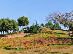 -东莞植物园
