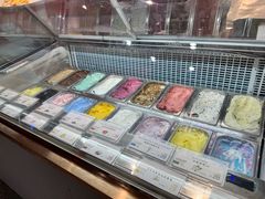 -iceason爱茜茜里·意大利健康冰淇淋(骑龙巷店)