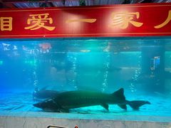 -年辉渔村·非遗传承餐厅(新丰江店)