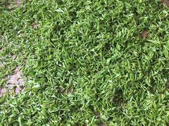 -欣怡茶庄·始于1999(梅家坞店)