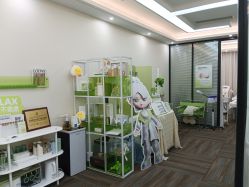 -凡碧诗毛孔清洁收细