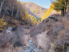 -苏木山森林公园