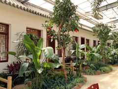 园内景色-北镇龙岗子生态园