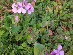 -玄武湖景区-情侣园游乐场