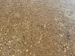 -海沧湾公园