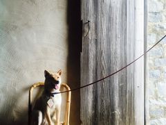 -石头会唱歌融来+北港岚台两岸交流中心
