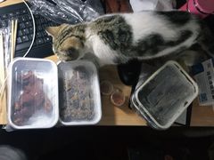 -乔阿马·江南味·驴肉香(龙湖华泾天街店)