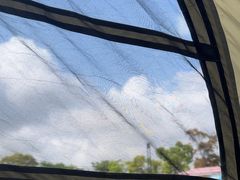 -春花秋色城市公园