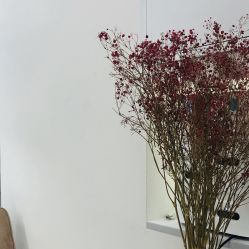 点击看大图 -MY HAIR ARDOR