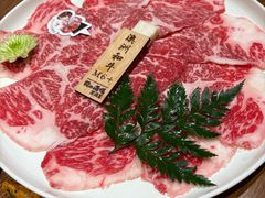 -龙酒场·关西寿喜烧·居酒屋(罗湖店)