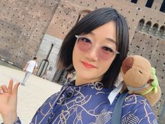 -斯福尔扎古堡