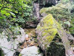 -牛背梁国家森林公园