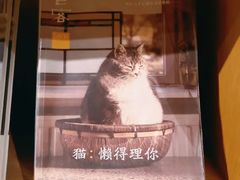 -新华文创·光的空间