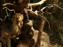 -多彩贵州城极地海洋世界