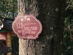 -灵光寺