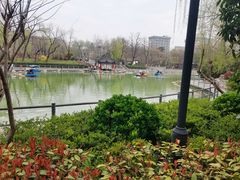 -莲湖公园