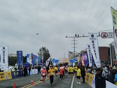 -随州碧桂园凤悦凤凰酒店