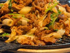 -喜悦烤鸭·新京菜(王府井店)