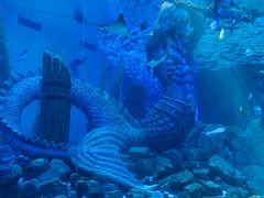 -哈尔滨波塞冬海底世界