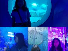 -石林冰雪海洋世界