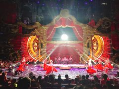 -珠海横琴长隆《卡卡虎奇遇记》