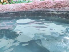 -青岛海泉湾度假区温泉