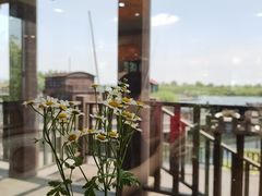-新木器时代餐厅(太湖新天地店)