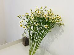 -YECLIP COFFEE黄色回形针咖啡