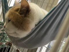 -白衬衫照相馆(五彩店)