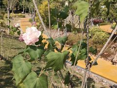 -中国移动南方基地