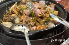 Spicy Wild Chicken and Softshell Turtle Stew