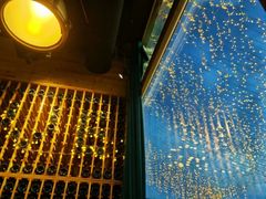 门面-烛影拾光观景餐厅·创意菜·摄影·小提琴(大唐不夜城店)