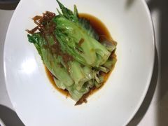 白灼罗马生菜-肆月河豚·新淮扬(金融街店)