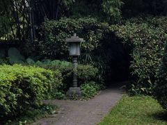 -广州兰圃