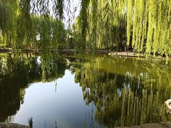-玲珑塔公园