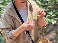 -汉艺唐风茶艺培训(联发华美空间店)