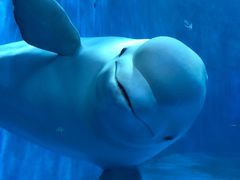 -多彩贵州城极地海洋世界