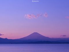 -CoCo都可(桃浦新邻店)