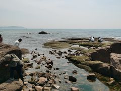 -燕儿岛山公园