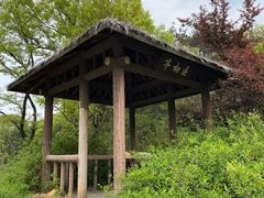 -宝界山林公园