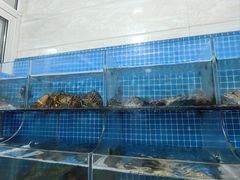 -宾朋海鲜特色美食餐厅·纯手工鲅鱼水饺(兴海路店)