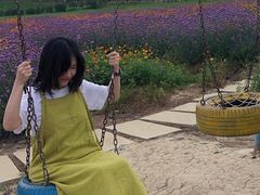 -紫颐香薰山谷景区