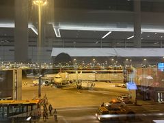 -上海浦东国际机场-T2航站楼