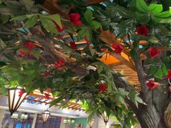 -老广酒楼(樱花店)