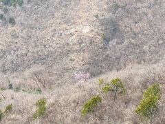 -北京十三陵国家森林公园蟒山景区