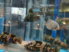 -钟菜·粤菜点心·宴请(海上世界·汇港二期店)