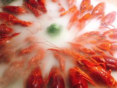 经典冰镇龙虾-红盔甲·小龙虾(天钥桥店)
