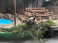 -东莞香市动物园