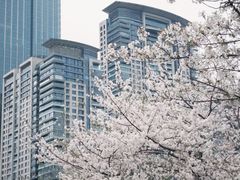 -西北湖绿化广场